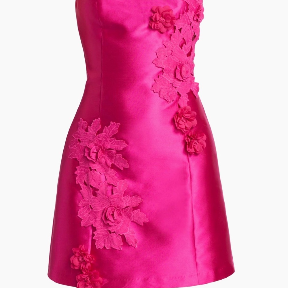 Elliatt Hot Pink Walter Floral Appliqué Mini Dress Large